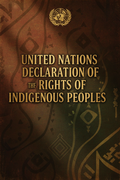 UNITED NATIONS DECLARATION OF RIGHTS OF INDIGENOUS PEOPLES